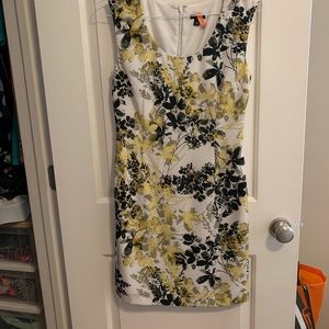 Ann Taylor Dress